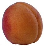 fruit