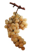 fruit